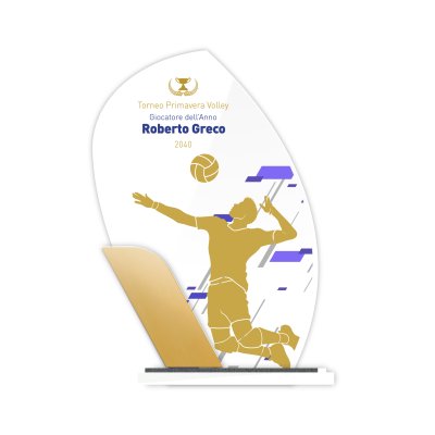 Trofeo premiazione Pallavololista