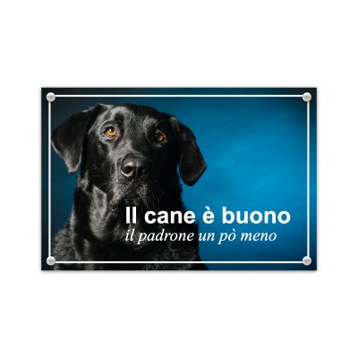 Cartello con foto cane in Pvc rigido